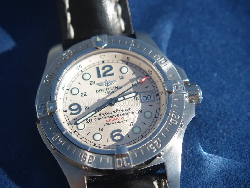 Vintage Diver Watch II P1017154