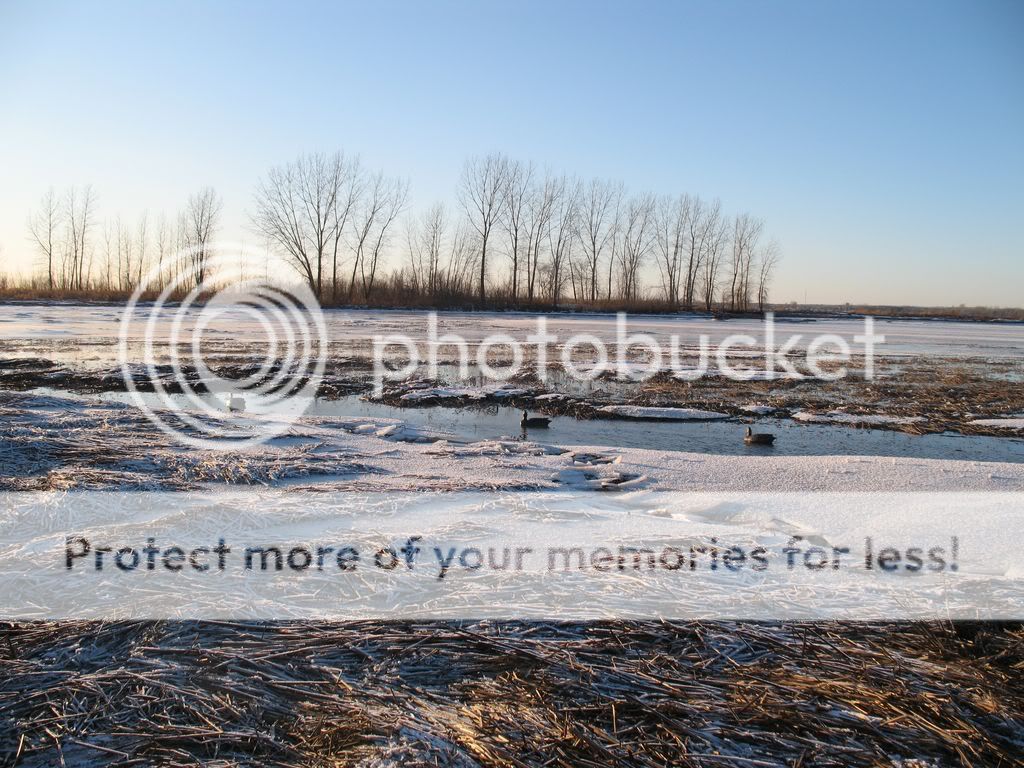 Une sortie aux canards pour ceux qui sont pas trop frileux! Chassedcembre080011024x768