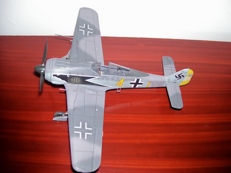 Hasegawa 1/48 Focke Wulf 190 A-4 Siegfried Schnell SchnelFocke21