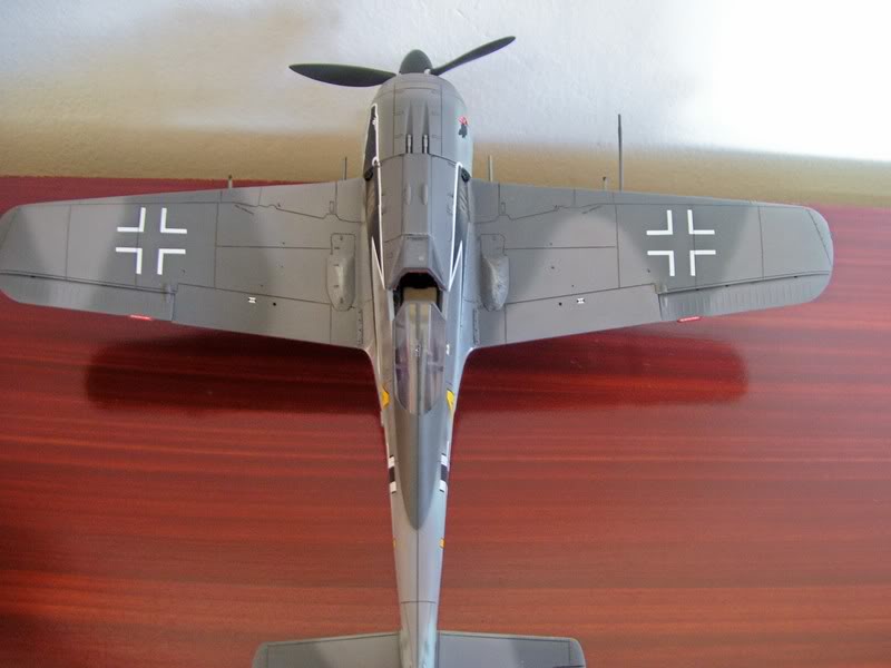 Hasegawa 1/48 Focke Wulf 190 A-4 Siegfried Schnell SchnelFocke8