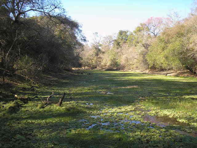 El rio negro Pictures, Images and Photos