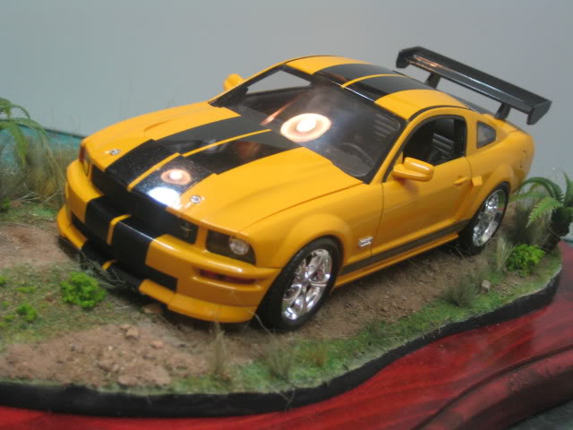 06 Mustang GT-H IMG_3089