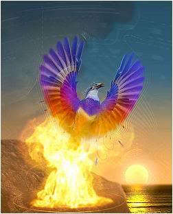 PHOENIX RISING