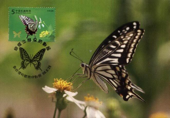 Schmetterlinge TWN_20090625_MC02A