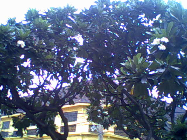 Saya sa intramuros :)) Img00007