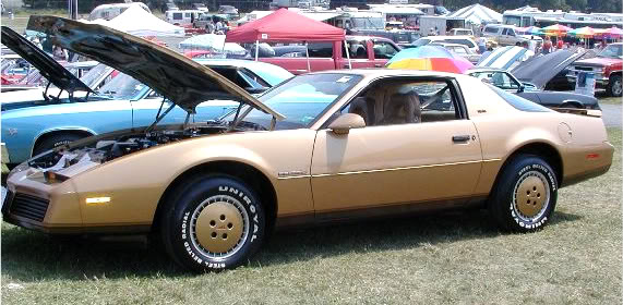 1982-1986 Firebird S/E, not just any Firebird! 1982FirebirdSE