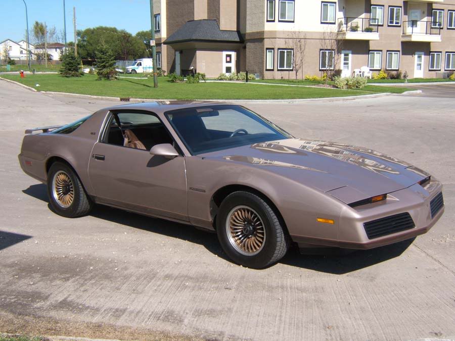 1982-1986 Firebird S/E, not just any Firebird! 83FirebirdSE