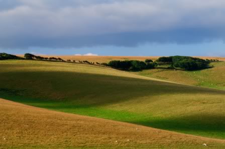 Rolling Hills