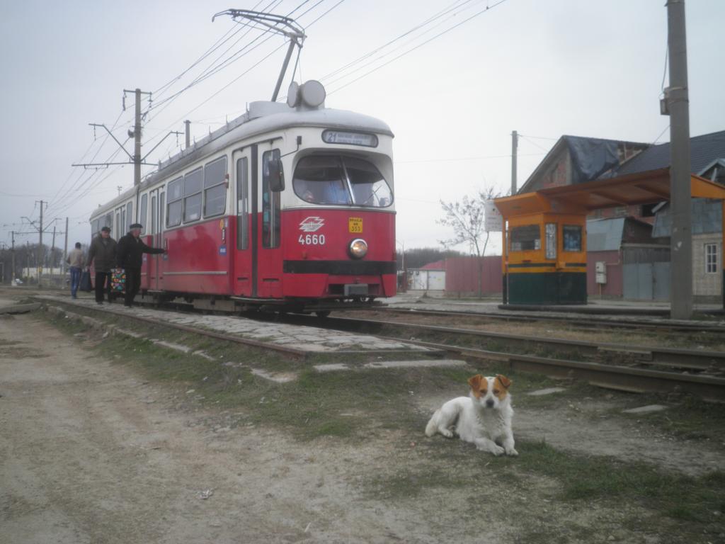 Roundtrip in Romania march 2013 part 1 P3190237