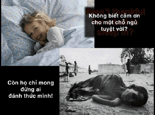 Điều HẠNH PHÚC ĐƠN GIẢN mà bạn ko hề biết!!! 7a-1