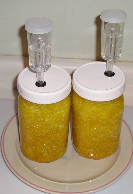 Sauerkraut & fermenting veggies - Page 2 Pineapple%20Turmeric%20Kraut%20cropped_zpsdykfgqkn