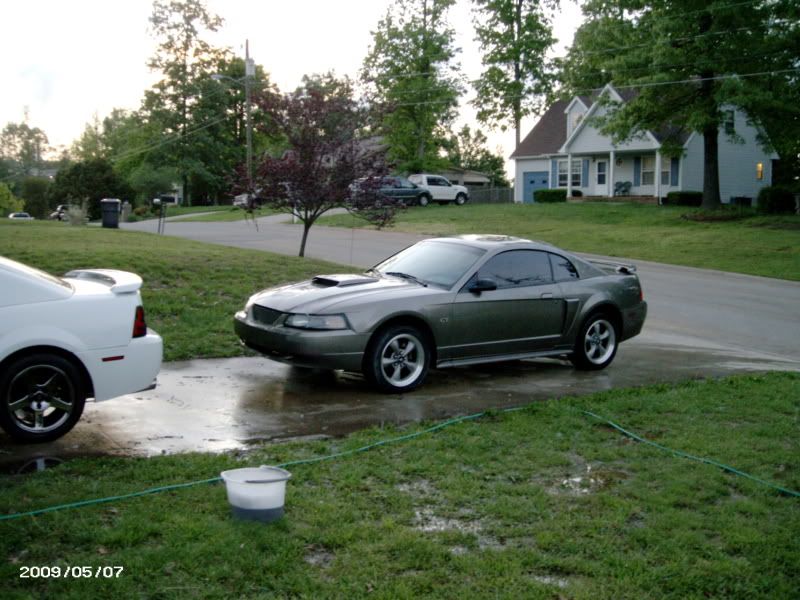 The wife got a new mustang PICT0535