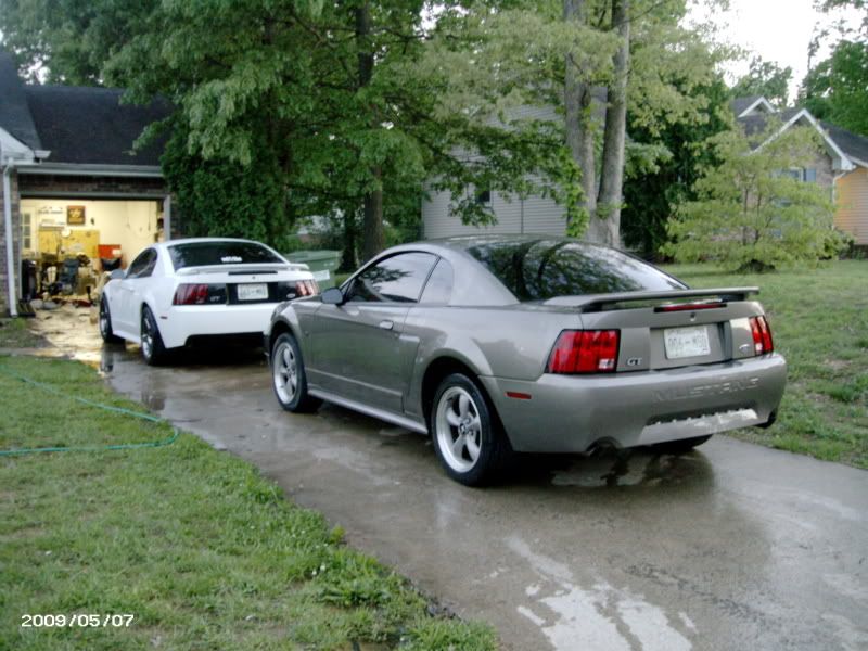 The wife got a new mustang PICT0537