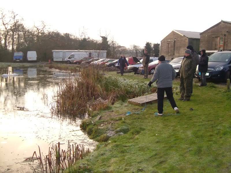 christmas open 01/12/12 higley's farm BROMFORDBRIDGEOPEN11212002