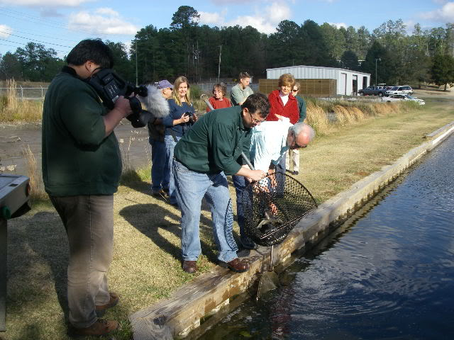 Trout Arrive @ NCWRC Pechmann Center 12-15-11 IMGP6301