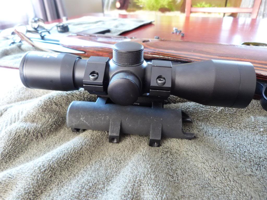 scope pour SKS P1030587_zps9bd31051