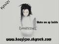 Evanescence Lyrics Default