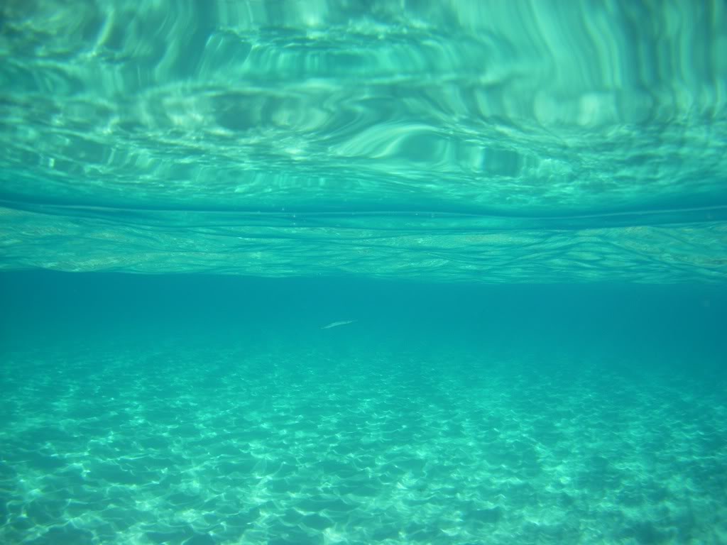 Le Grand Bleu Corse PICT3638