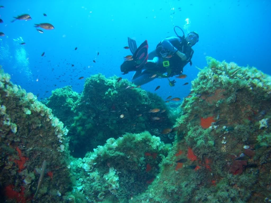 Le Grand Bleu Corse PICT3723