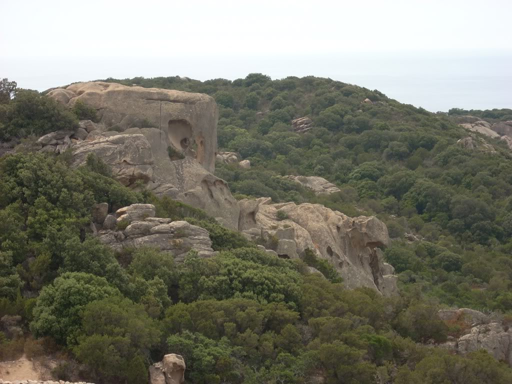 [CR] Plongée en Corse - 7ème et dernière partie PICT4166