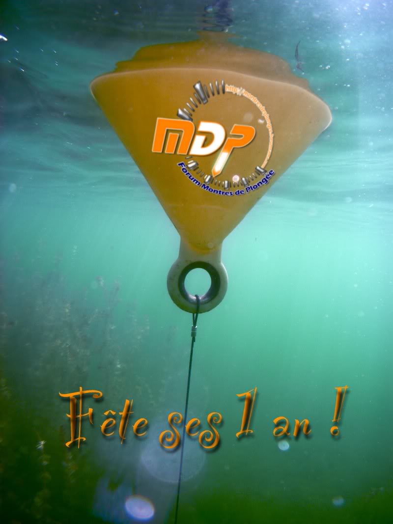 Anniversaire MDP : A vos claviers! MDP_annir