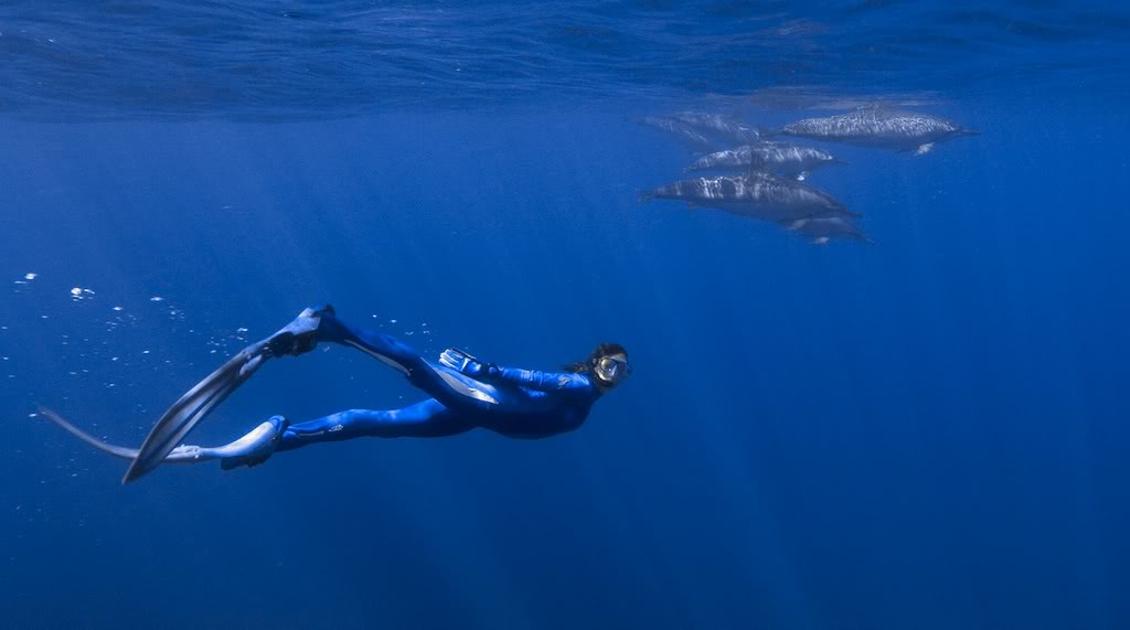 plongée - Quiz matériel plongée  Cousteau-aut7r