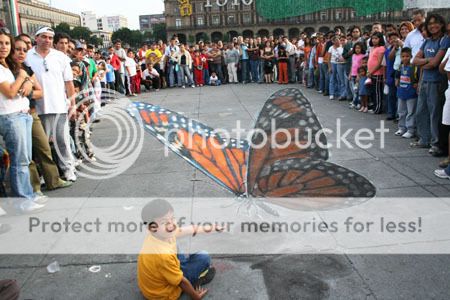 Nghệ Thuật Đường Phố Butterflygdqe2