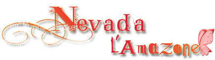 Nevada Nevadalogo