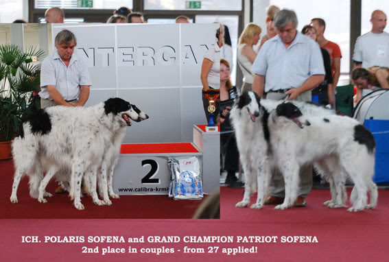 SANIVA BORZOI Odgajivacnica ruskih hrtova SANIVA Brno08_bestcouple2