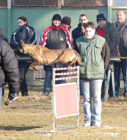 Denzi en concours DSC_0102