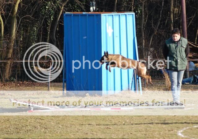 Denzi en concours DSC_0105