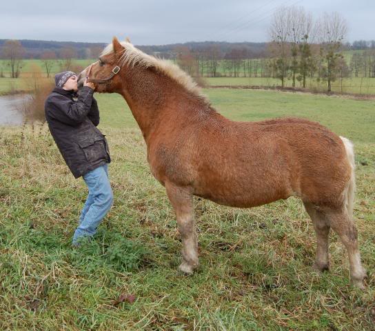 mes tout's DSC_0166