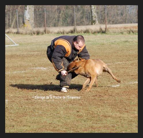 Concours de Bart & denzi DSC_0647