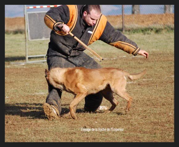 Concours de Bart & denzi DSC_0654