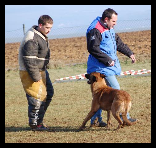 Concours de Bart & denzi DSC_0710