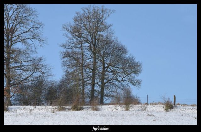 La petite Sibérie Neige2013195