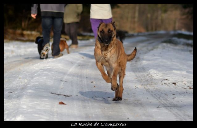 Rando dans l'Argonne Neigepassavant018_zpsbc4b0155