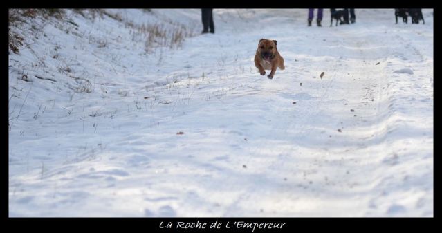 Rando dans l'Argonne Neigepassavant078_zps70af8678