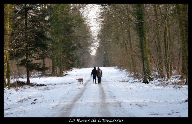 Rando dans l'Argonne Neigepassavant262_zpsc158ea22