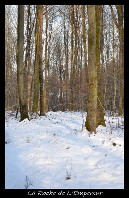 Rando dans l'Argonne Neigepassavant349_zpsb21dfbaa