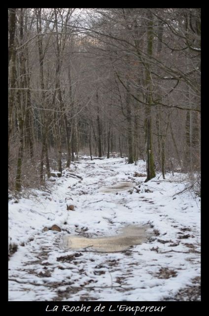 Rando dans l'Argonne Neigepassavant498_zpsdd26fec9