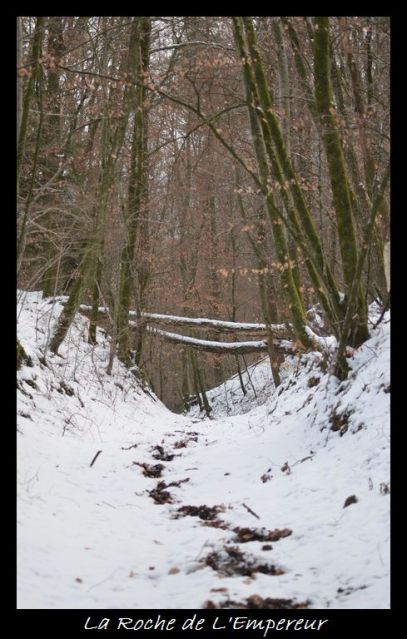 Rando dans l'Argonne Neigepassavant510_zpsc0224d0b