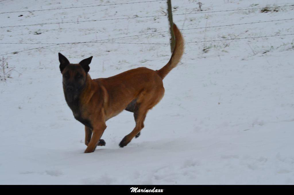 le paradis blanc Dec2012002