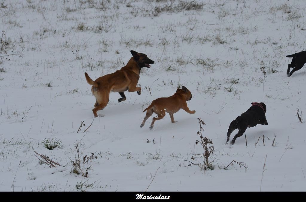 le paradis blanc Dec2012068