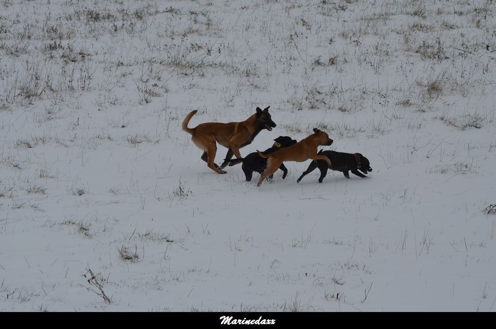 le paradis blanc Dec2012076