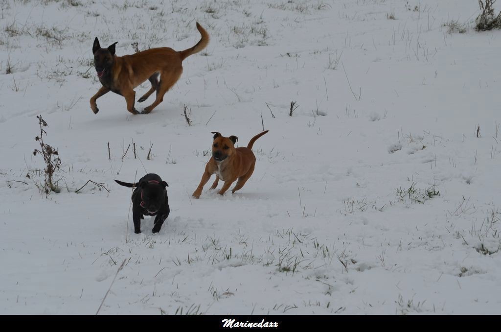 le paradis blanc Dec2012097