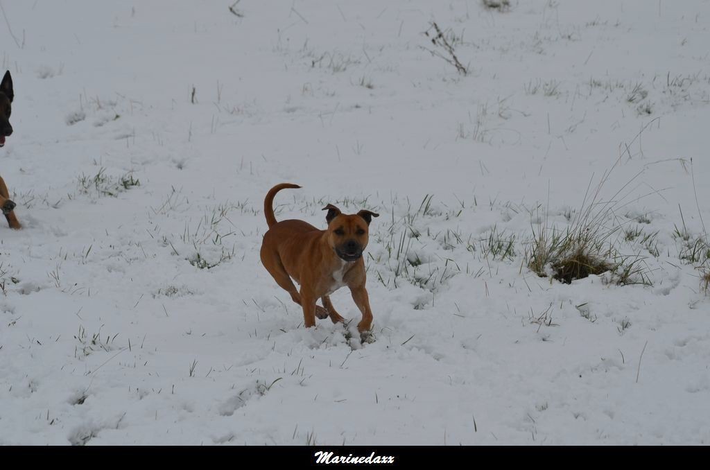 le paradis blanc Dec2012101