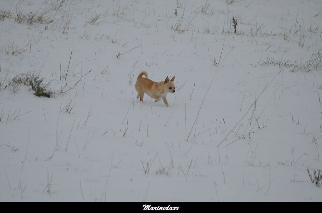 le paradis blanc Dec2012109