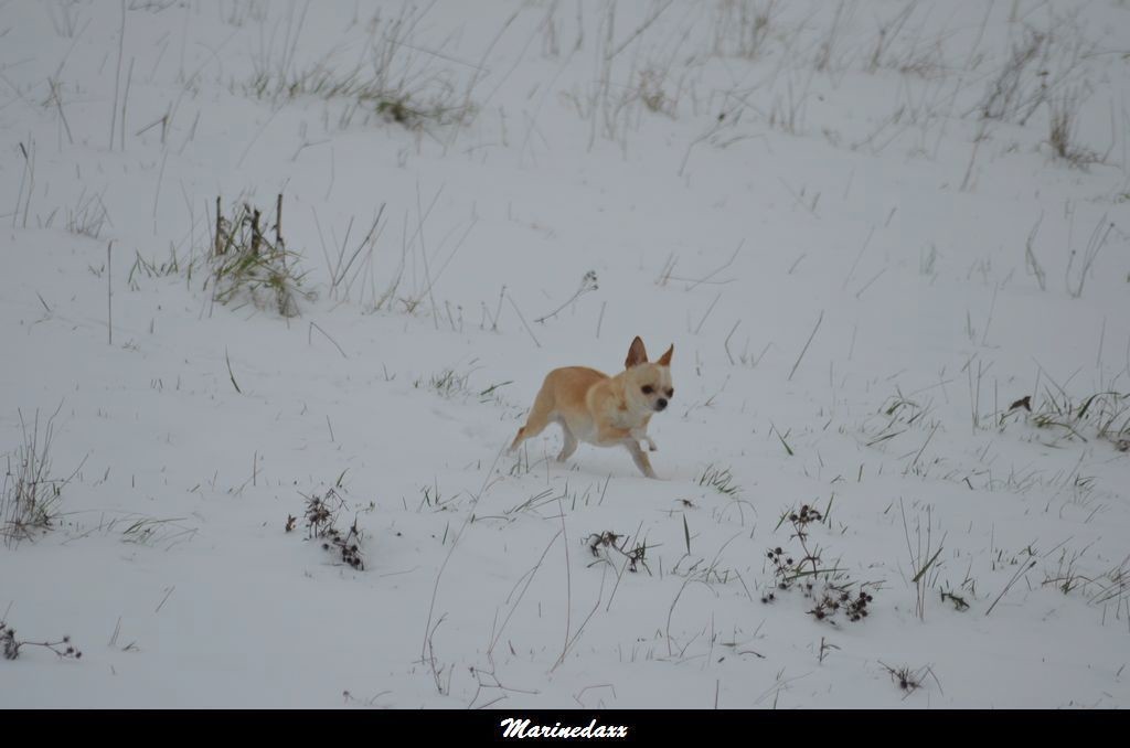 le paradis blanc Dec2012114