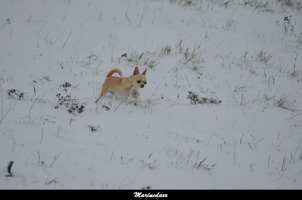 le paradis blanc Dec2012116